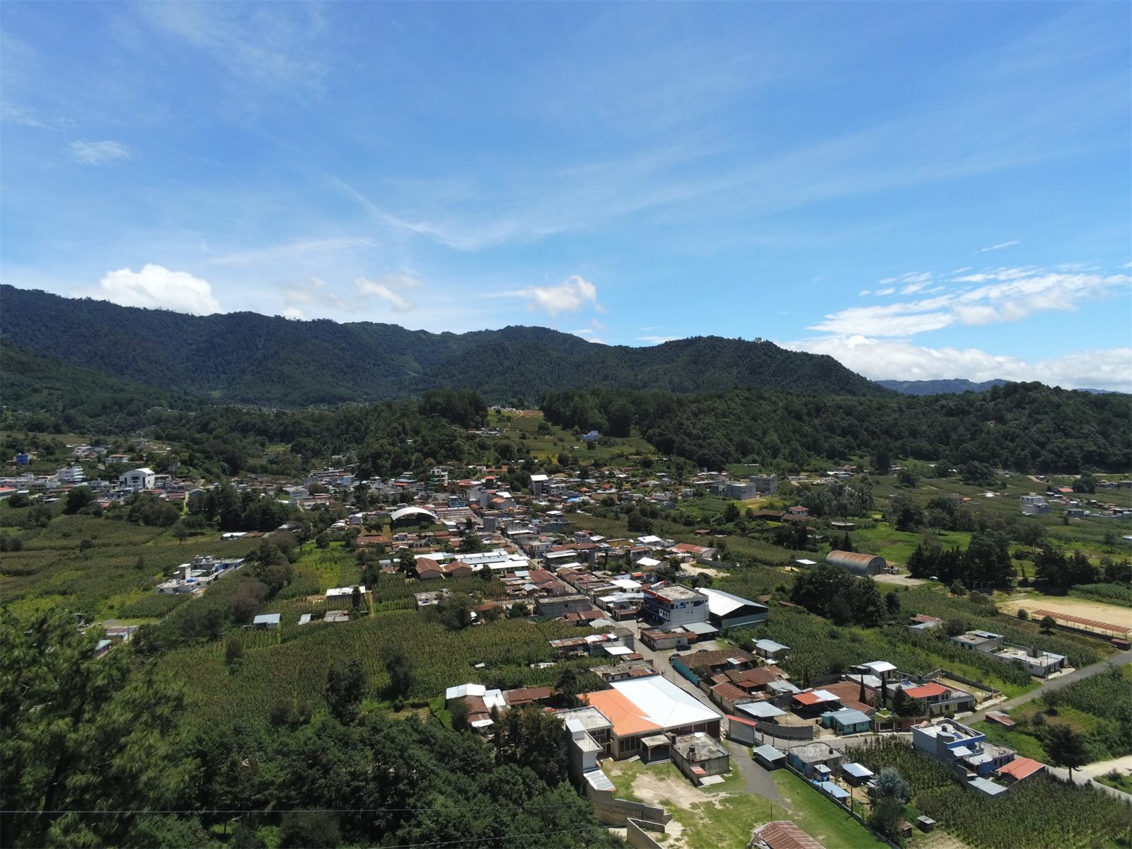 Argueta